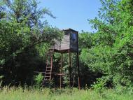 Резервне з panoramio.com (ч.4)