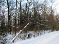 Волиця з panoramio.com