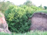 Лютенські Будища з panoramio.com