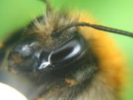 Березне - Останні фото