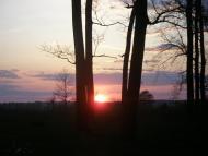 Мізяківська Слобідка з panoramio.com