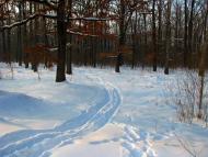 Волиця з panoramio.com