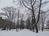 Ромни з panoramio.com