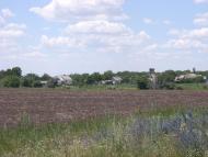 Лози - Останні фото