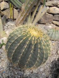 Нікіта з panoramio.com (ч.2)