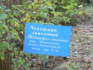 Куйбишеве - Останні фото