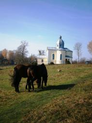 Вуйковичі з panoramio.com