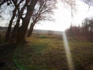 Калинівка з panoramio.com