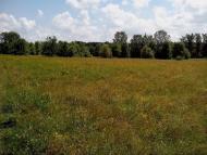 Приліпка з panoramio.com