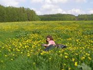 Томашівка з panoramio.com