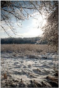 Артемівськ з panoramio.com (ч.2)