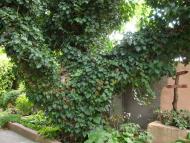 Роздольне з panoramio.com