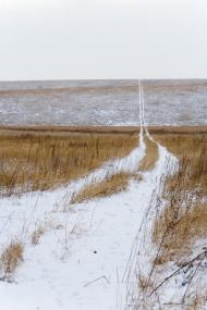 Верхня Роганка з panoramio.com