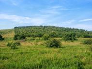 Новоукраїнка з panoramio.com