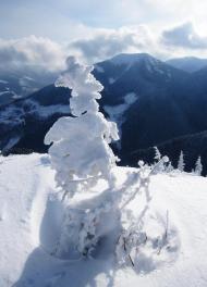 Осмолода - Останні фото