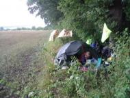 Довжок з panoramio.com