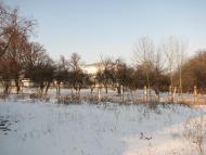 Мерло з panoramio.com