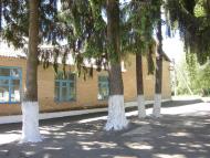 Новичі - Останні фото