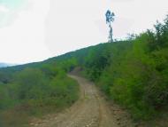 Синапне з panoramio.com