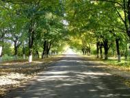 Велика Омеляна з panoramio.com