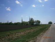 Дмитрівка з panoramio.com