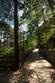 Високогірне з panoramio.com