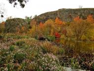 Буки з panoramio.com