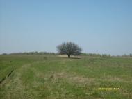 Гута-Зеленицька з panoramio.com