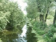 Олександрія з panoramio.com (ч.3)