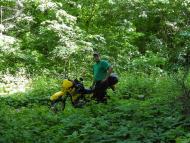 Eskhar - Latest photos