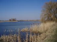 Рогізне з panoramio.com