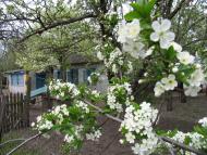 Сиротенки з panoramio.com