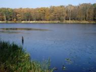 Костопіль з panoramio.com