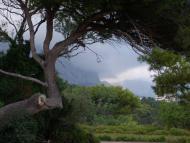 Форос з panoramio.com (ч.2)