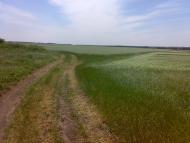 Благовіщенське з panoramio.com