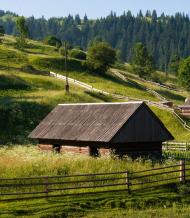 Синевирська Поляна - Останні фото