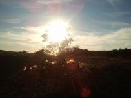 Некрасовка - Останні фото