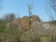 Гута-Зеленицька з panoramio.com