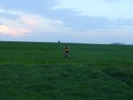 Золочів з panoramio.com