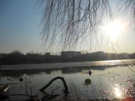 Новий Розділ з panoramio.com