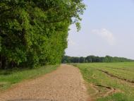 Скаржинка з panoramio.com