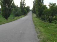 Велика Омеляна з panoramio.com