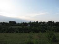 Лозова з panoramio.com
