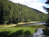 Синевирська Поляна - Останні фото