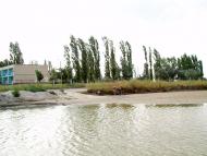 Кошари з panoramio.com