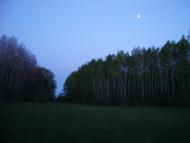 Нова Гребля - Останні фото