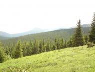 Говерла з panoramio.com (ч.2)