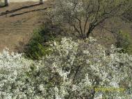 Токмак - Останні фото