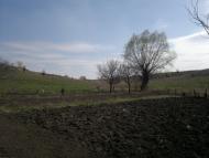 Абазівка з panoramio.com