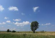 Sokolivka - Latest photos